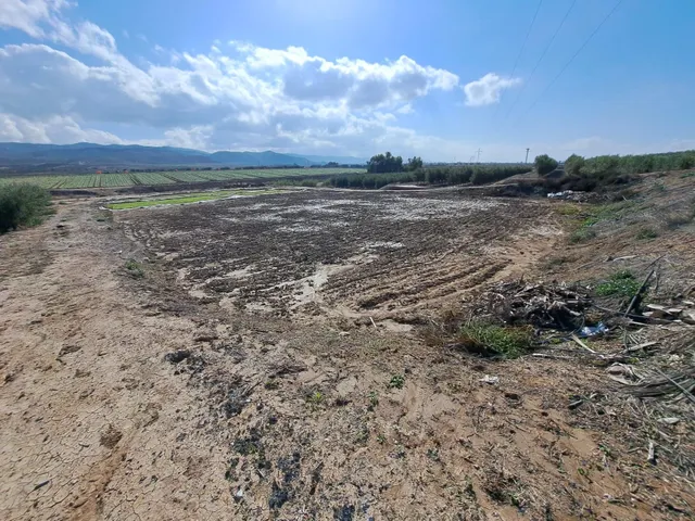 FINCA RURAL CON 4 VIVIENDAS Y NAVE — 45