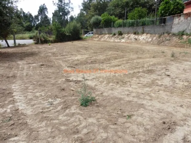 REF 2363 SOLAR LLANO Y SOLEADO 1132 m2 MOS