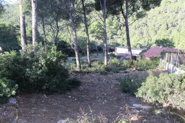 Parcela en Canyelles (Les Palmeres) — 4
