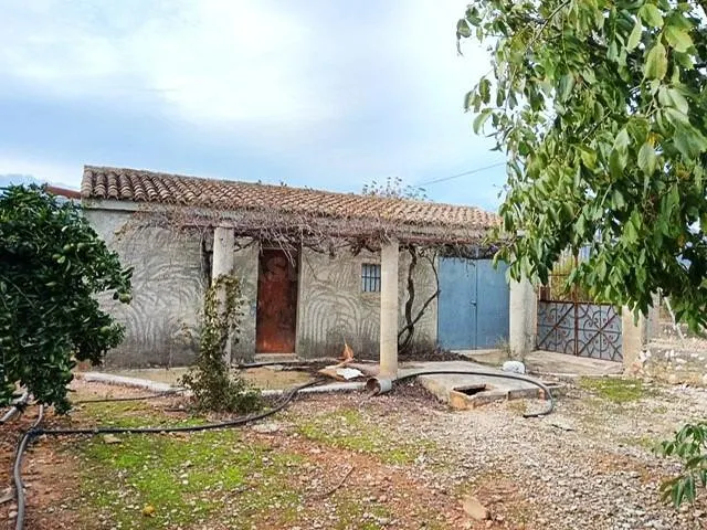 Chalet situado en Marxuquera con mucho terreno en plena prod - foto 5