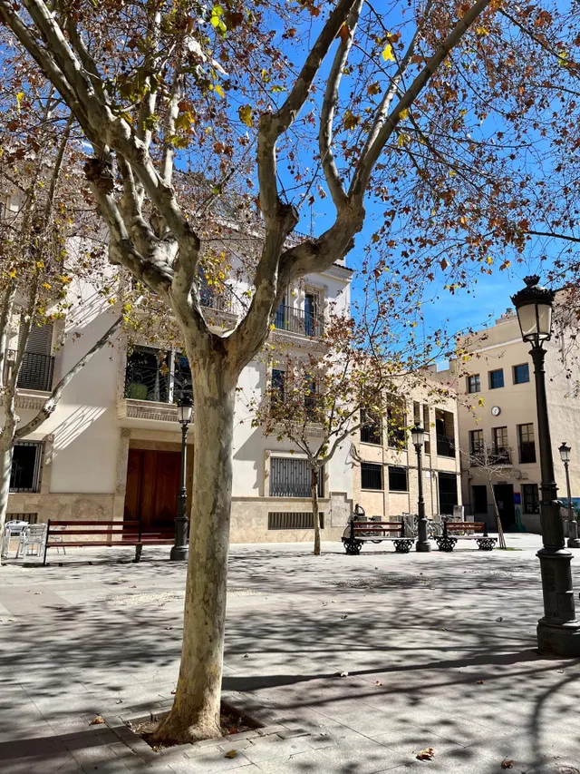 Tu Segundo en el Raval! — 18