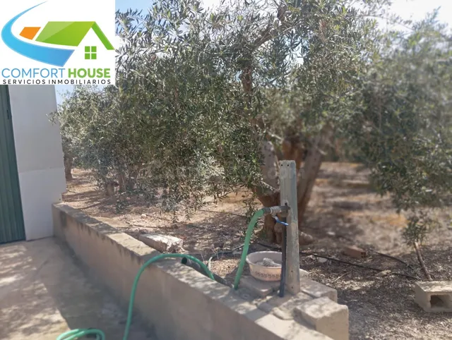 Nave con terreno en Fuente Álamo de Murcia - foto 4