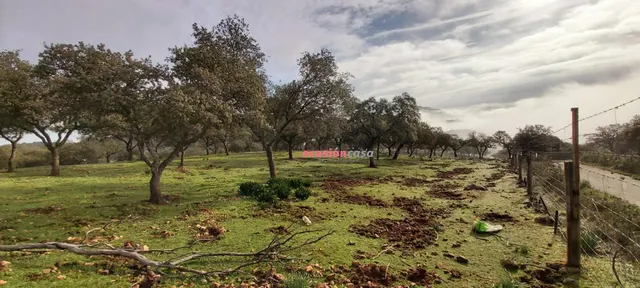 FINCA RUSTICA CON VIVIENDA — 26