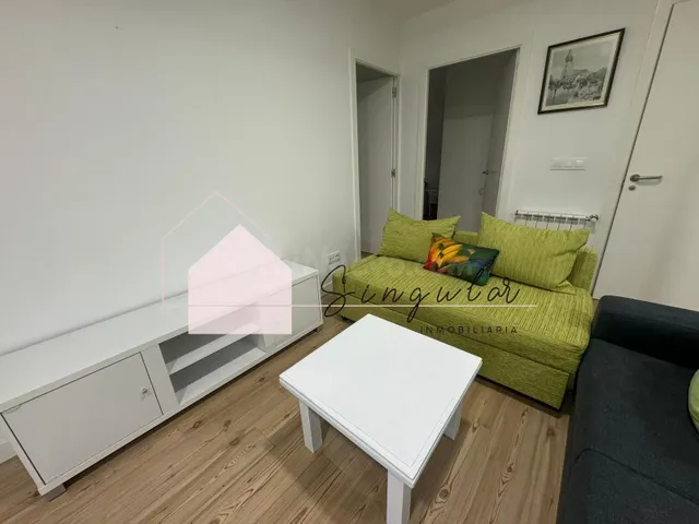 ALQUILER PLANTA BAJA CASA CON JARDÍN - foto 3