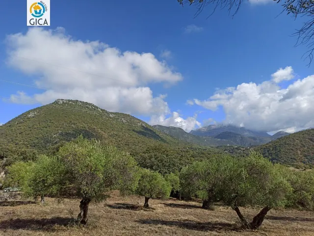 CASA CON PARCELA  EN LA SIERRA DE CADIZ -EL BOSQUE — 36