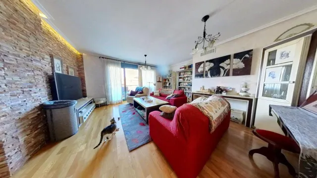 GRAN PISO DE 6 DORMITOTIOS CON PISCINA - foto 4