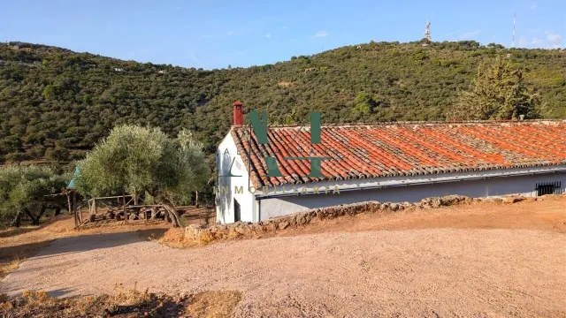 Gran Casa de Campo a 6 km de Cáceres - foto 4