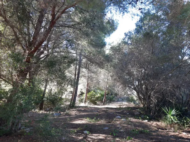 Parcela en zona Corral de calafat — 13
