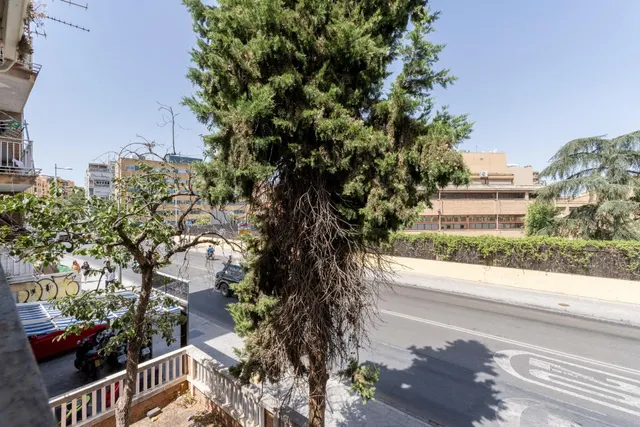 !!ESPECTACULAR PARCELA CON VIVIENDA JUNTO LA HÍPICA!! — 15