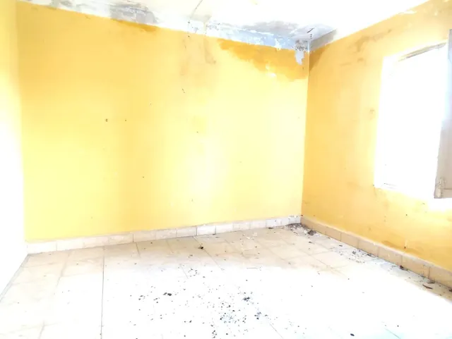 Casa independiente con parcela — 10