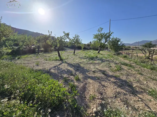Terreno en Aspe - foto 2