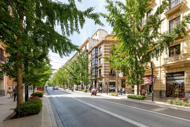 EXCLUSIVA ULTIMA PLANTA CON VISTAS EN GRAN VIA — 2
