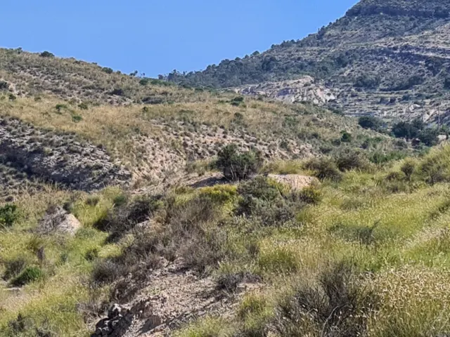Parcela en el Pantano de Crevillent - foto 3