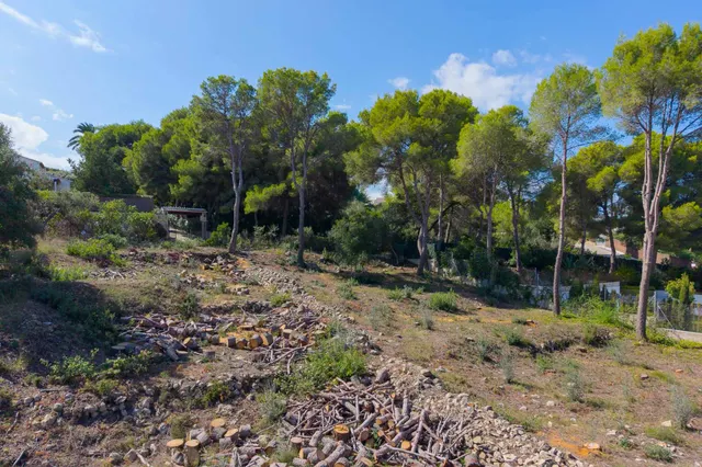 Parcela en venta - La Lluca - La Tarraula — 7