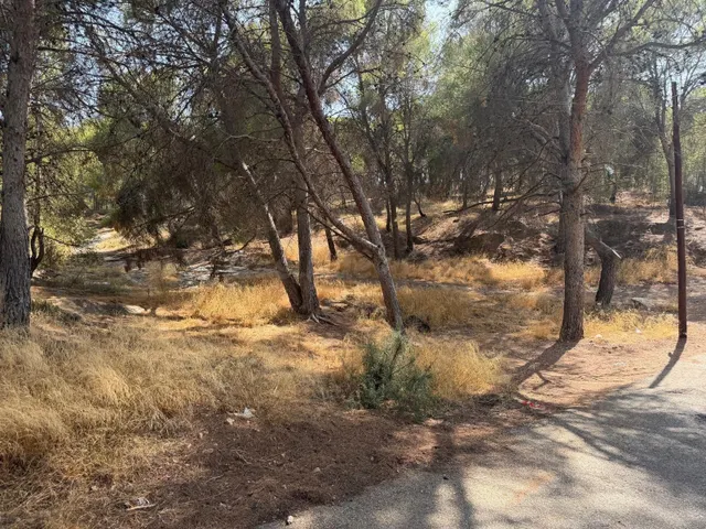Amplia Parcela en La Alberca, Murcia - Oportunidad Única por - foto 2