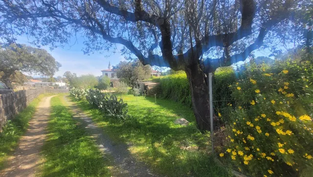 CASA DE CAMPO CON ESCRITURAS EN MONTE DEL CASAR — 48
