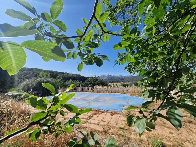 VENTA PARCELA CON CASA Y PISCINA. GRAZALEMA - foto 5