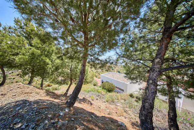 Terreno urbano y rústico en venta en Albondón (Granada) - foto 4