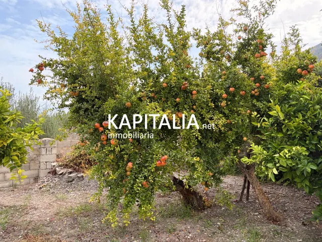 Casa de pueblo con jardin privado en Benialfaqui — 9