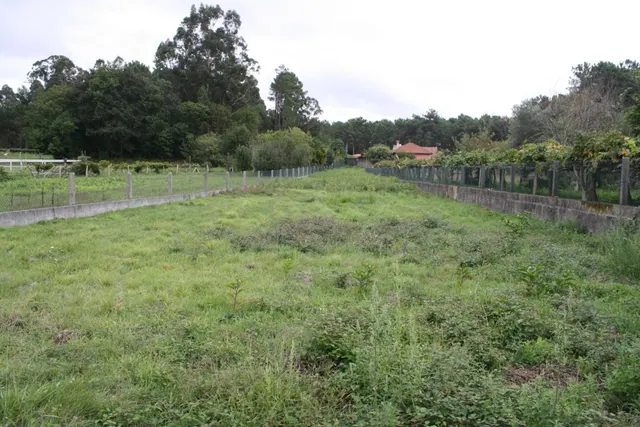 ¡¡¡¡TERRENO EDIFICABLE A 20 MIN DE VIGO, 5 MIN DE TUI Y 8 MIN DE TOMIÑO !!!!! — 13