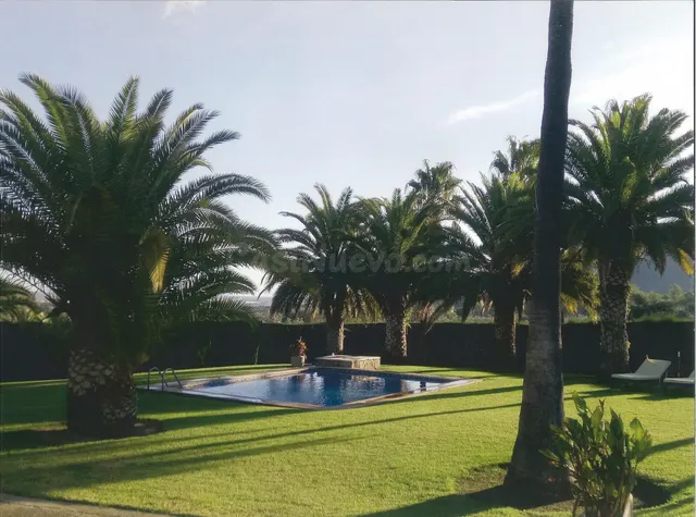 Venta de finca rústica en Amposta - foto 4