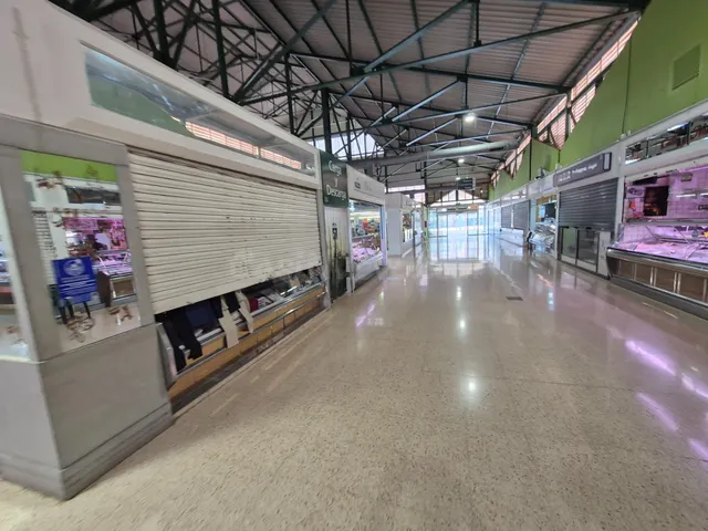 SE VENDE LOCAL COMERCIAL EN PETRER: OPORTUNIDAD ÚNICA — 3