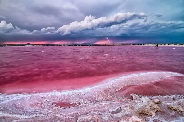 Nueva Promoción Residencial en San Miguel de Salinas — 11