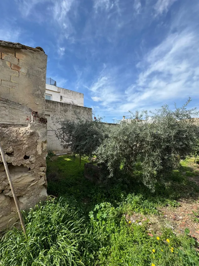 SOLAR URBANO EN VENTA EN JACARILLA - ZONA JACARILLA - — 6