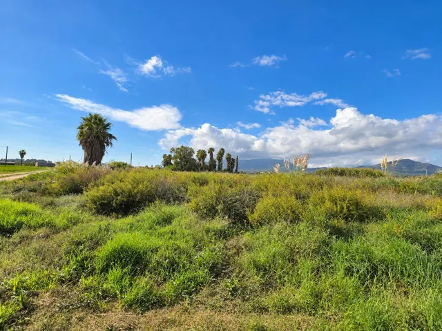 Finca rústica de 6.705 m2 en la zona de els ullals de baltasar, Amposta — 27