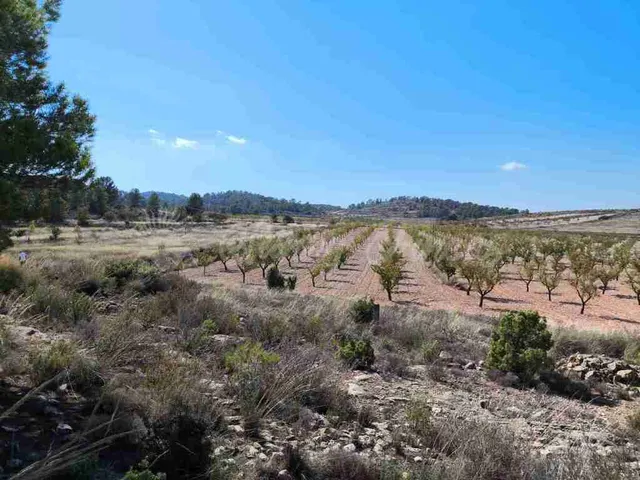 Suelo rústico en Venta en Jumilla Murcia — 2