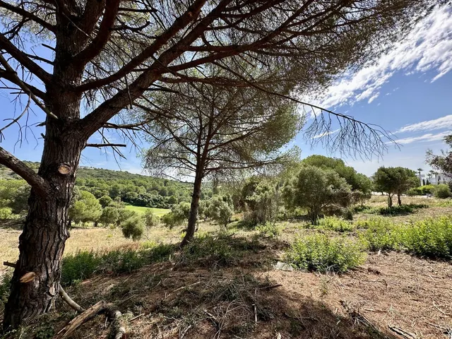 Parcela en venta - Sotogrande - Alto — 7