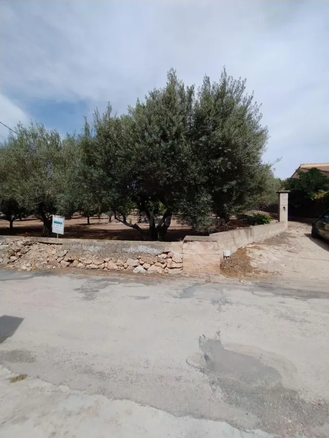 Terreno urbano 41m² en venta - Tortosa - foto 3