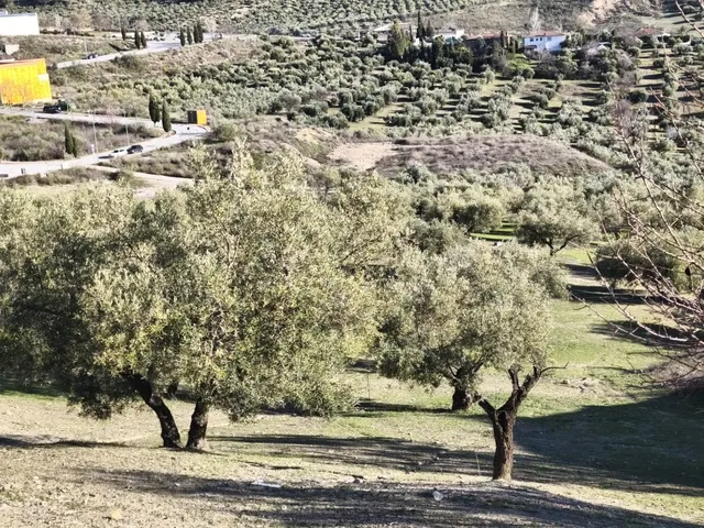 Terreno rural en venta - Sierra de huetor y la alfaguara — 6