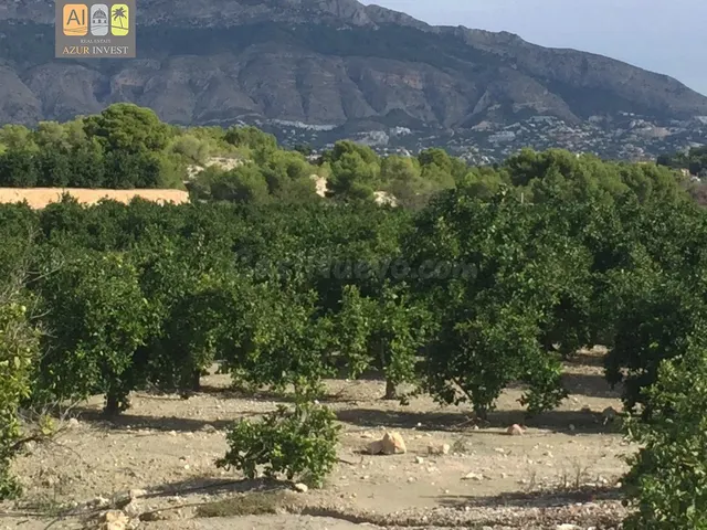 PARCELA DE 12.000M2 CON CASA (EL PLANET) - foto 4