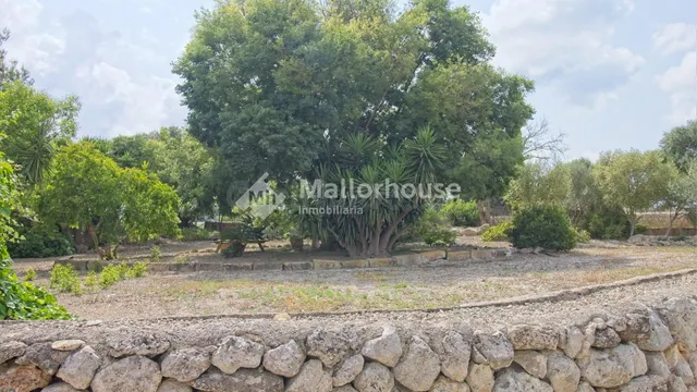 Finca rústica 10 habitaciones 905m² en venta - Centro - foto 4