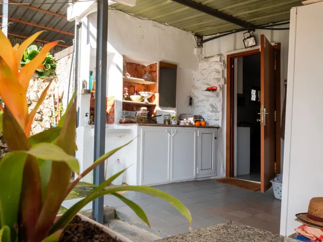 Finca Rústica de 20.000m2 con vivienda en venta. — 31