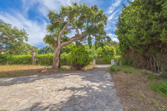 Chalet 6 habitaciones 737m² en venta - Sotogrande Costa - foto 5