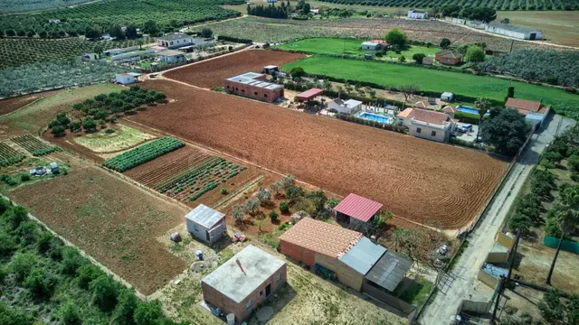Finca rústica de 8.800 m2 con pozo, luz, construcción y dobl - foto 4