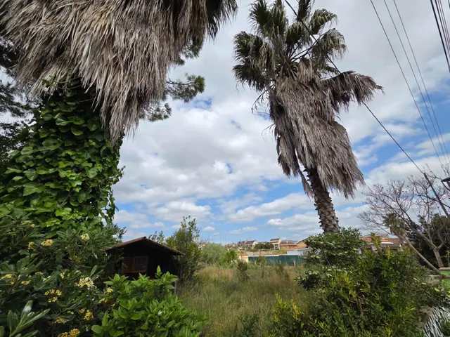 Casas Nuevas TODA en Planta Baja en Les Peces d'Albinyana — 18