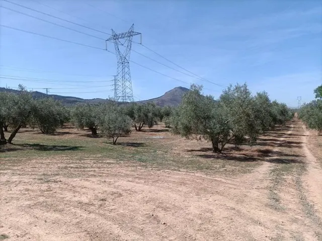 Finca Rústica — 4