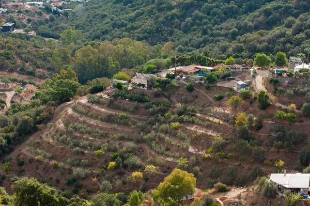 Finca rústica 2 habitaciones 100m² en venta - Marbella — 21
