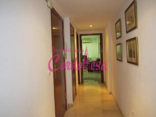 MAGNÍFICO APARTAMENTO JUNTO AL CORTE INGLÉS — 8
