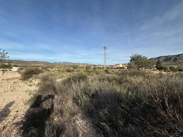 Venta  de terreno en Barinas (Abanilla)