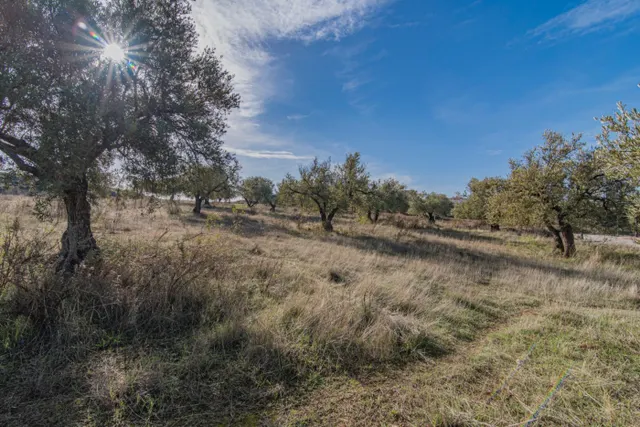 VENTA DE SOLAR URBANO EN URBANIZACION LOS CARACOLILLOS EN NIVAR CON UNA ESPECTACULAR ubicación — 38