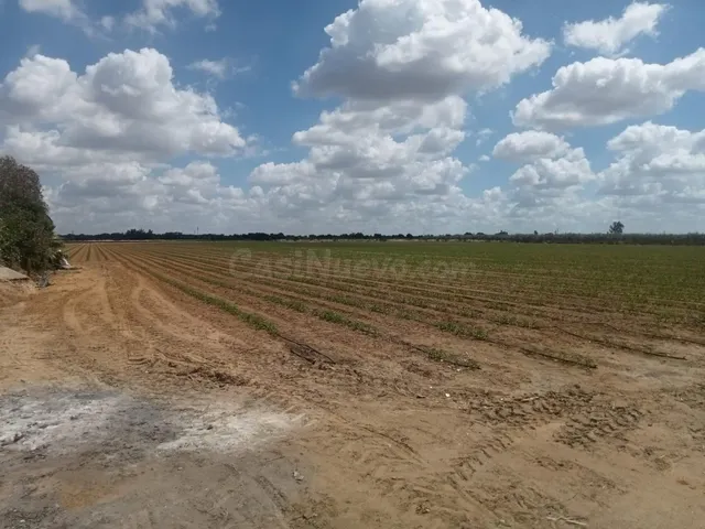 VENTA DE PARCELA EN LA CORCHUELA - foto 2