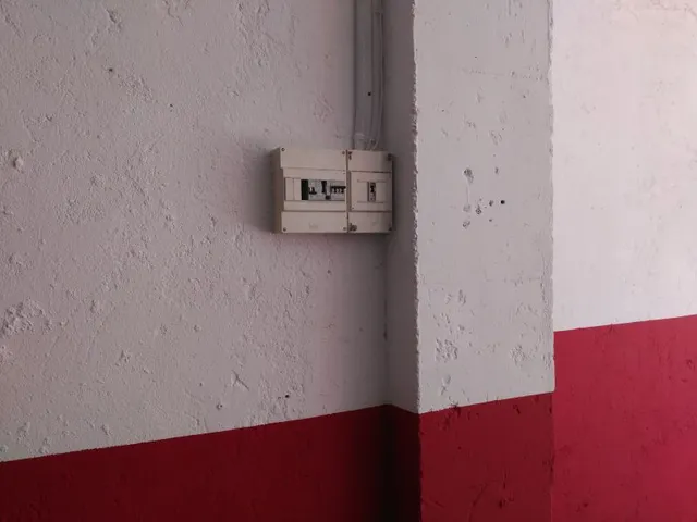 OPORTUNIDAD LOCAL EN LA ZONA ALTA — 7