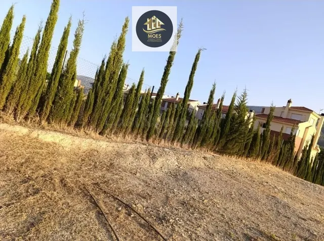 PARCELA EN LOS VILLARES