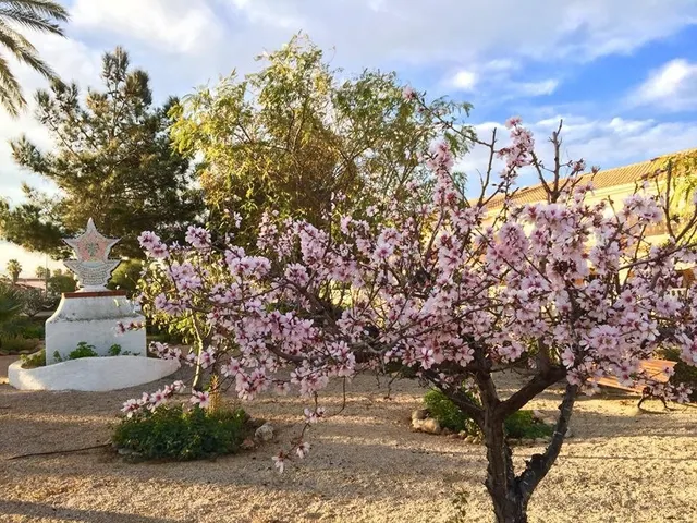VILLAS DE OBRA NUEVA EN LOS URRUTIAS, MURCIA — 31