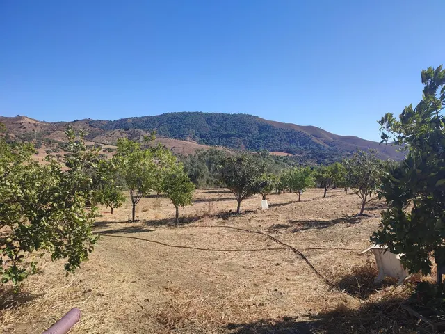 Parcela en venta - South of spain — 2