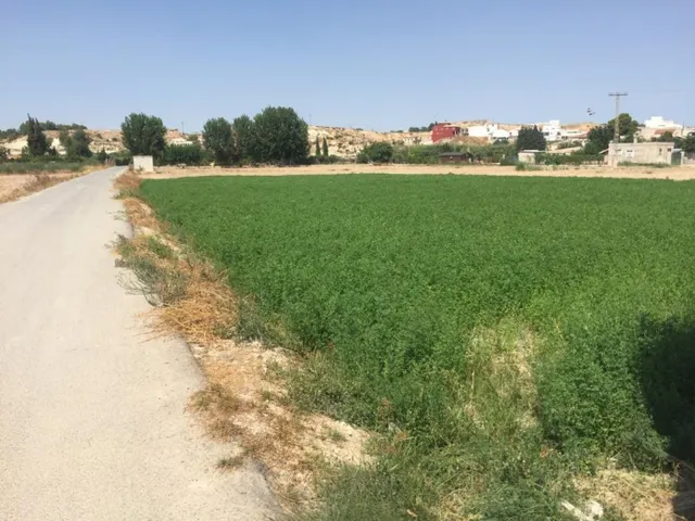 +Terreno no urbano en Molina de Segura zona Ribera de molina, 1118 m. superficie parcela++. — 3